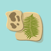 How to make a Fossil