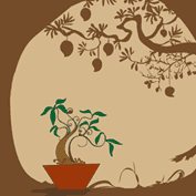 Grow A Tropical Tree
