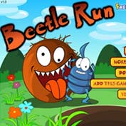 Beetle Run