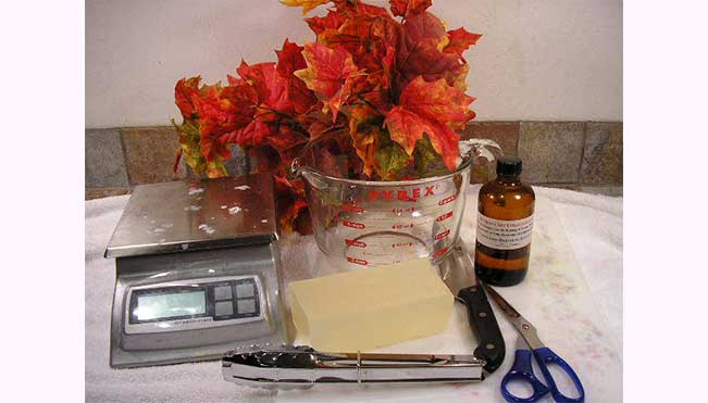 Leaves Soap