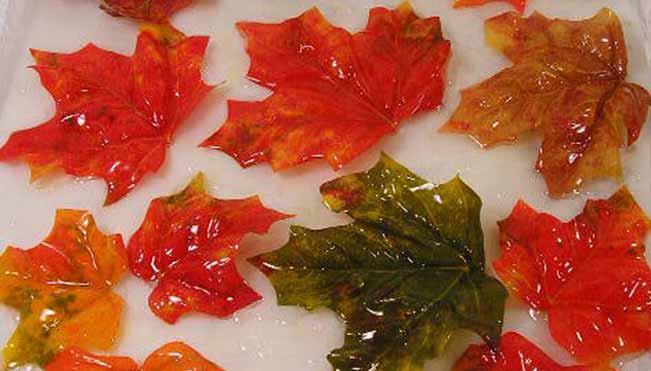 Leaves Soap