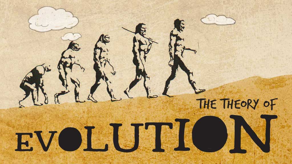 charles darwin theory of human evolution pdf