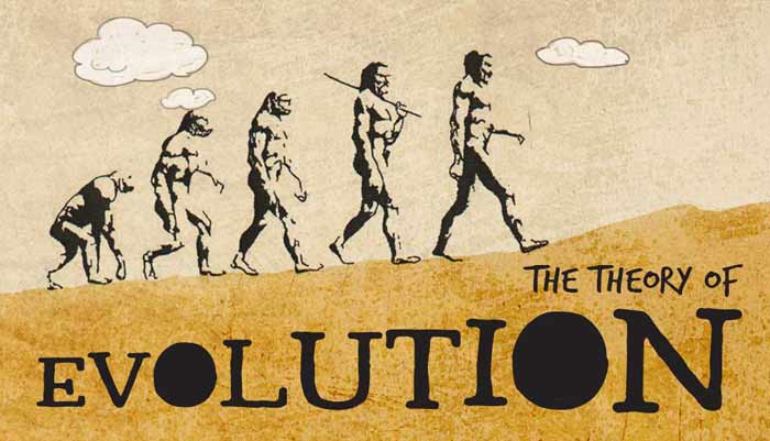 The s Theory Of Evolution