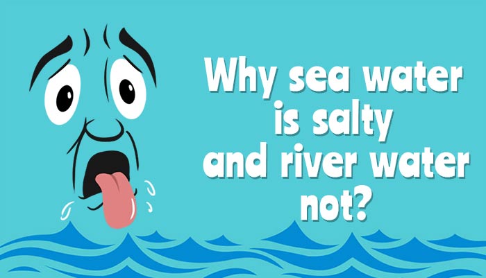 Why Sea Water Salt 86