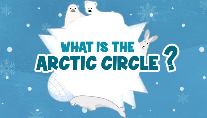 Arctic Circle Facts - Geography for Kids | Mocomi