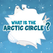 Antarctic Circle Facts and Info - Geography for Kids | Mocomi