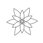 Exotic flower &#8211; Colouring Page