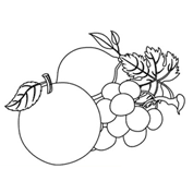 Mangoes and Grapes – Colouring Page