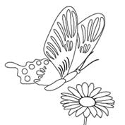 Butterfly on Flowers – Colouring Page