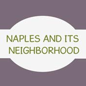 Naples And Its Neighborhood