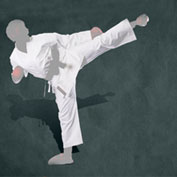 The History of Martial Arts