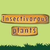 Insectivorous Plants Facts