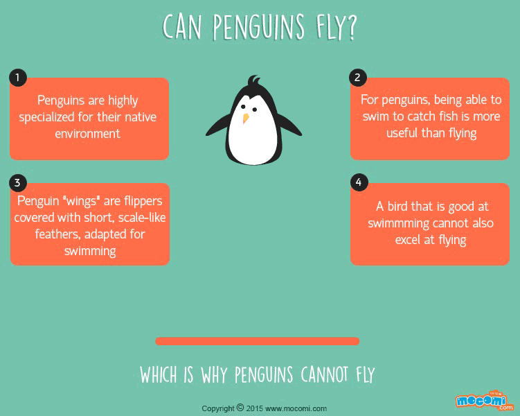Can Penguins fly?