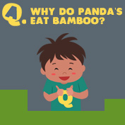 Why do Pandas eat Bamboo?