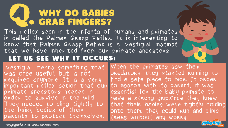 Why do Babies Grab Fingers?