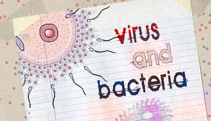 Virus and Bacteria : Difference - Biology for Kids | Mocomi