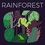 The Amazon Rainforest