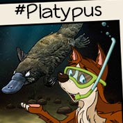 Duck-Billed Platypus
