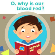 Why is Blood Red in Colour?