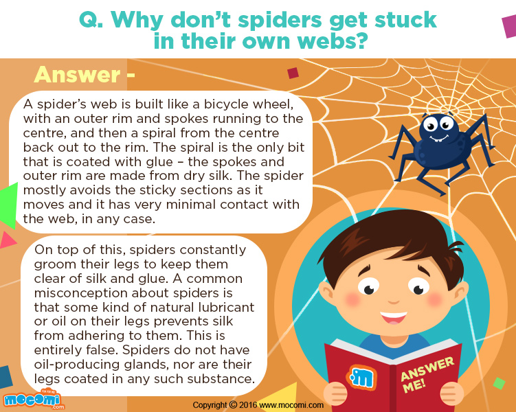 Why don’t Spiders Stick to their Webs?