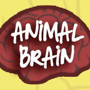 Animal brain size comparison