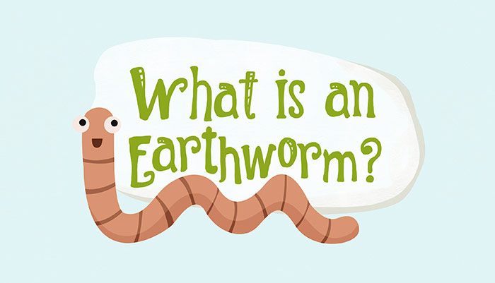 earthworm-facts-and-information-gk-for-kids-mocomi