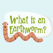 Earthworm Facts and Information