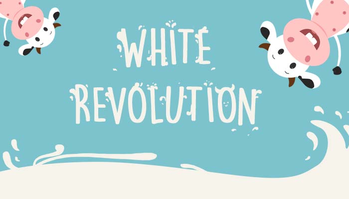 White revolution shop milk