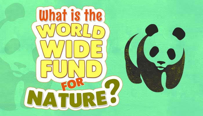 World Wide Fund for Nature - WWF - Civics for Kids | Mocomi