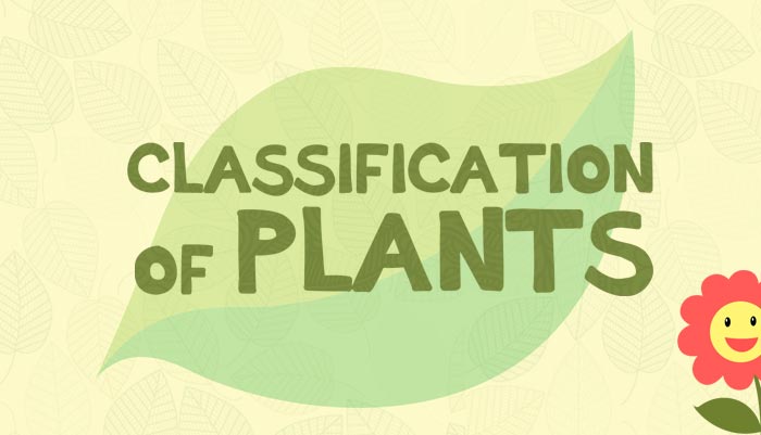Classification of Plants with Examples-Biology for Kids | Mocomi