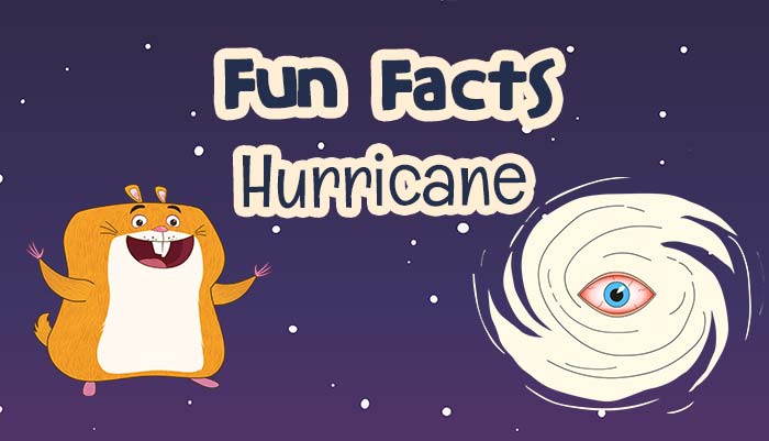 Hurricane Facts And Information Gk