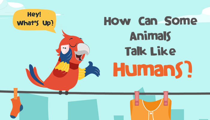 How Can Some Animals Talk Like Humans? - GK for Kids | Mocomi