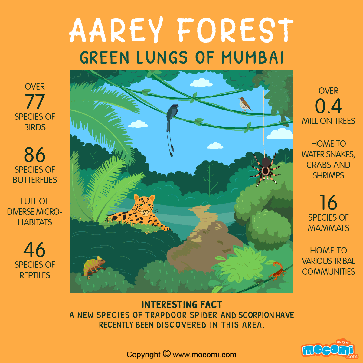Aarey Forest Facts