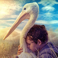 Storm Boy – Movie Review